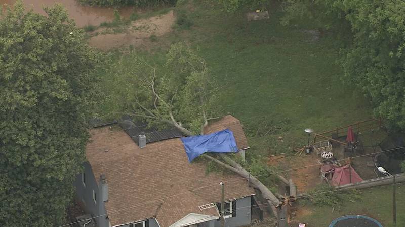 Tree on a house in Mt Holly