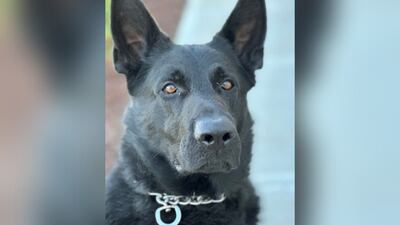 Oakboro K-9 wins national contest to help fund department 