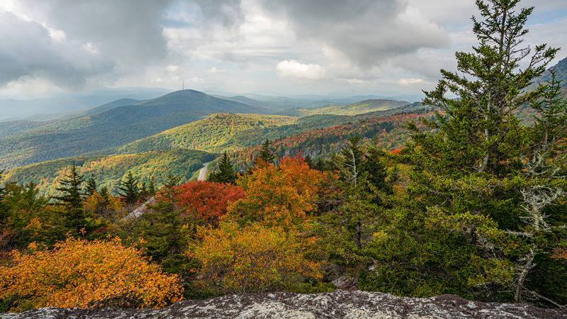 Oct. 6, 2023: Fall vibrancy continues to ramp up in the High Country, as seen in this image looking toward neighboring Grandmother Mountain from the end of the Black Rock Trail.