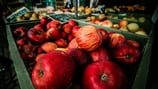 A guide to u-pick apple orchards in the Carolinas 