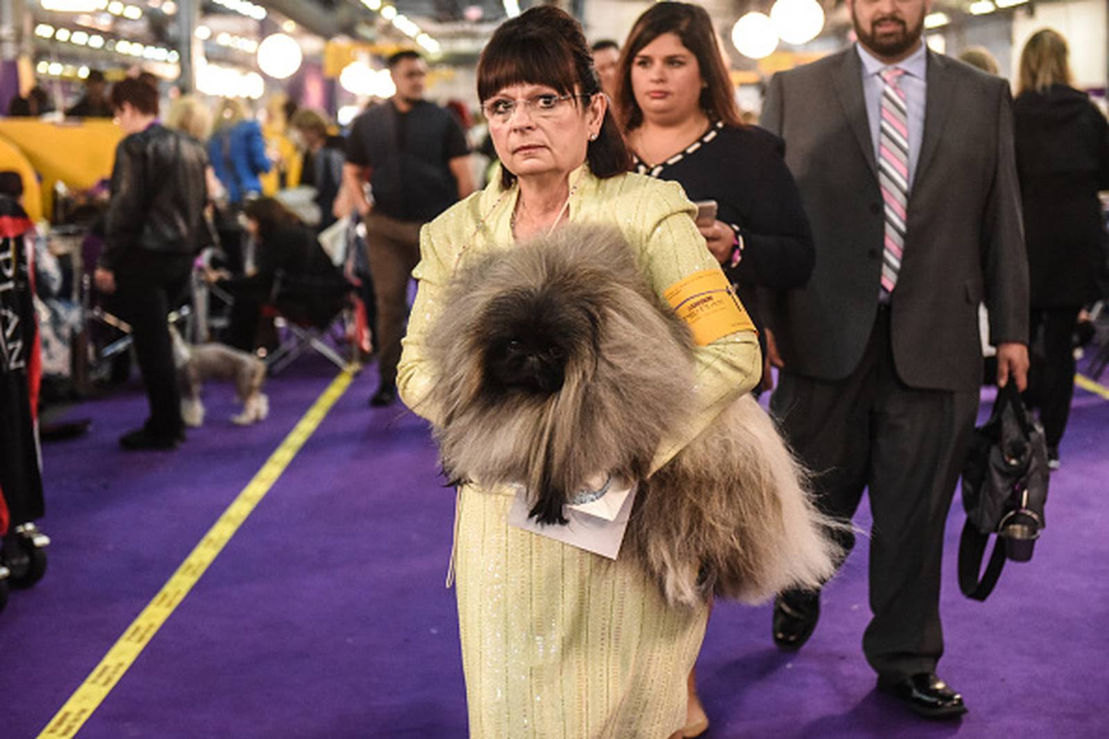 Westminster Dog Show 2020 See the best in show, group winners WSOC TV