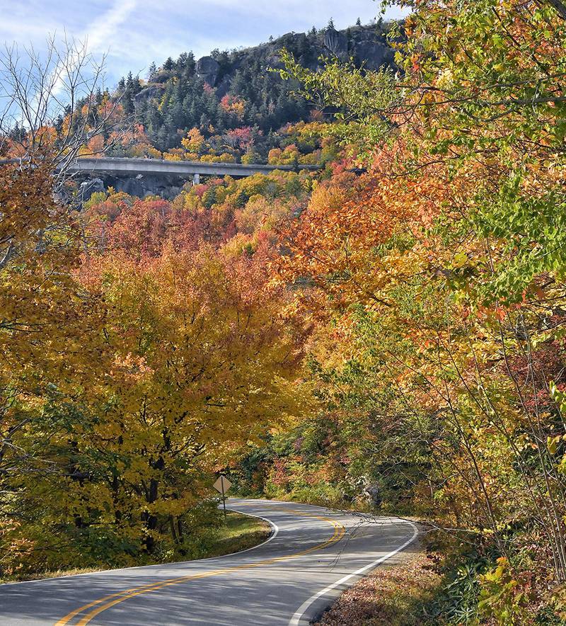 While the Blue Ridge Parkway is known as one of North America’s most scenic drives, U.S. 221 isn’t too far off. Here, the stretch of highway between Blowing Rock and Grandfather Mountain offers a stunning display of fall color, as it weaves alongside the Blue Ridge Parkway and the iconic Linn Cove Viaduct.