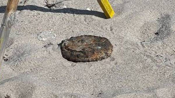 Possible land mine removed from Florida beach