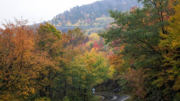 Here are the top 12 must-visit places in North Carolina for fall colors