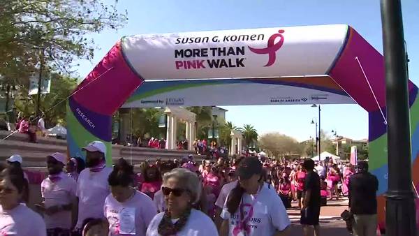 MORE THAN PINK Walk in Charlotte raises funds for breast cancer 