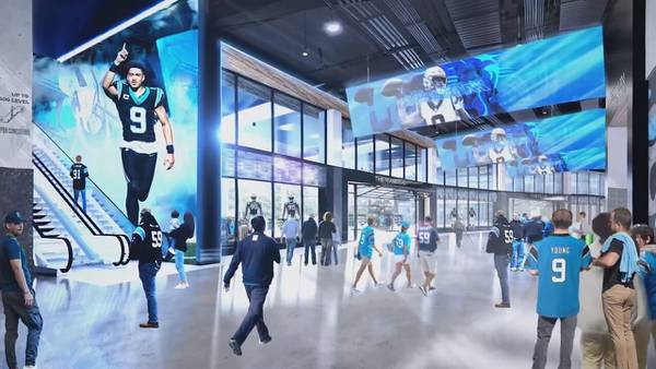 Most at public hearing support Bank of America Stadium plan