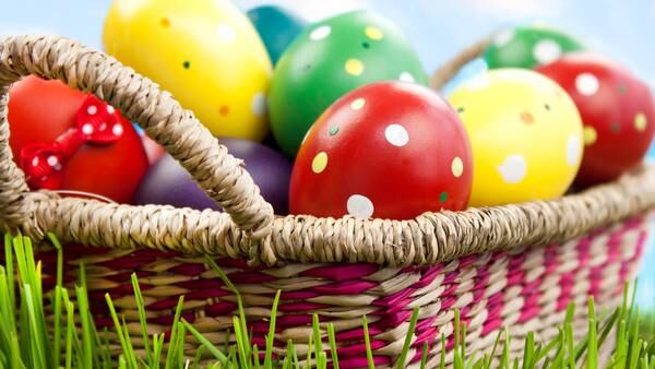 Argument over where to hide eggs leads to stabbing at elementary school Easter egg hunt 