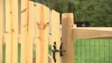 Homeowner says she spent thousands on fence for ‘puppy dog’ but didn’t get what she paid for