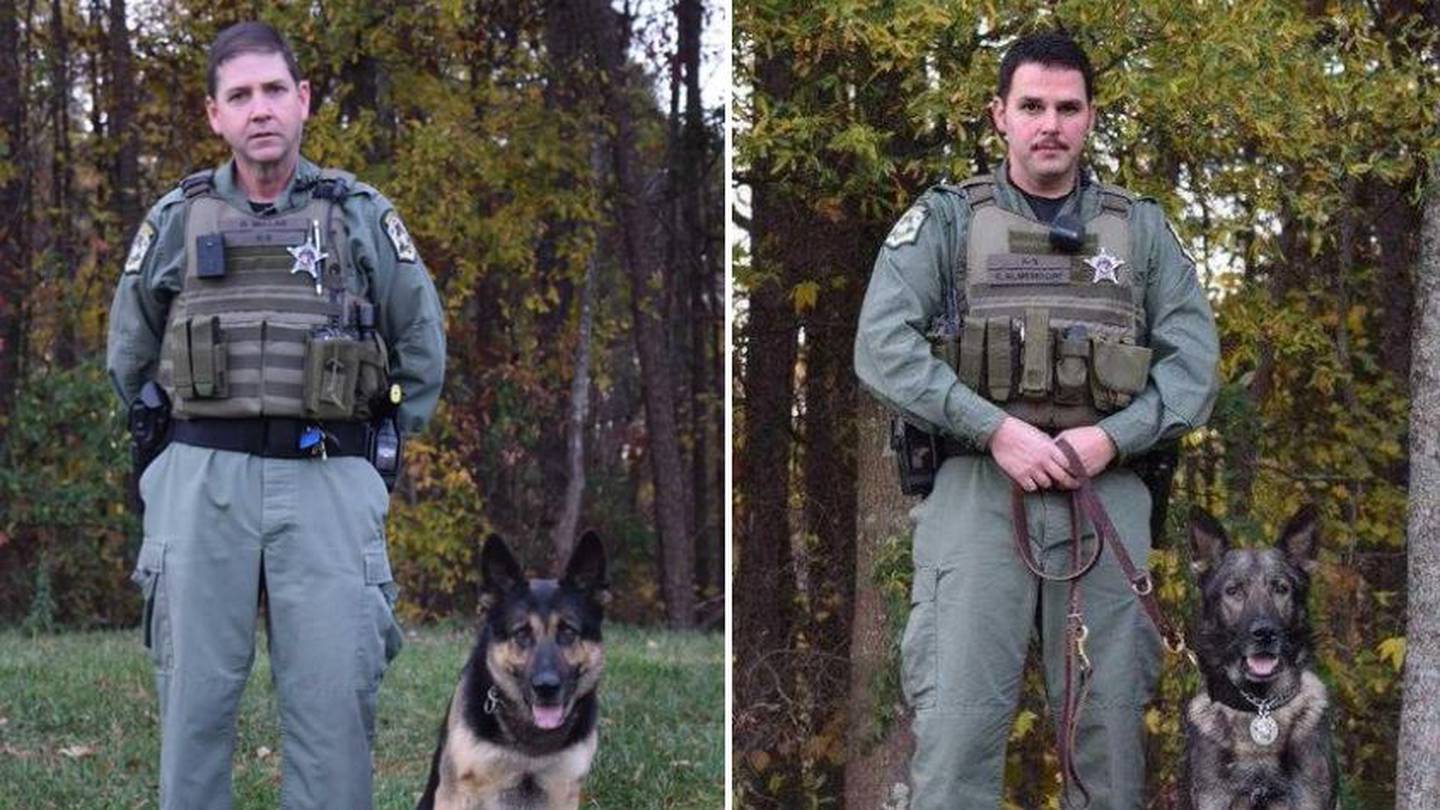 K9 Officer Bruno gets bulletproof protective vest