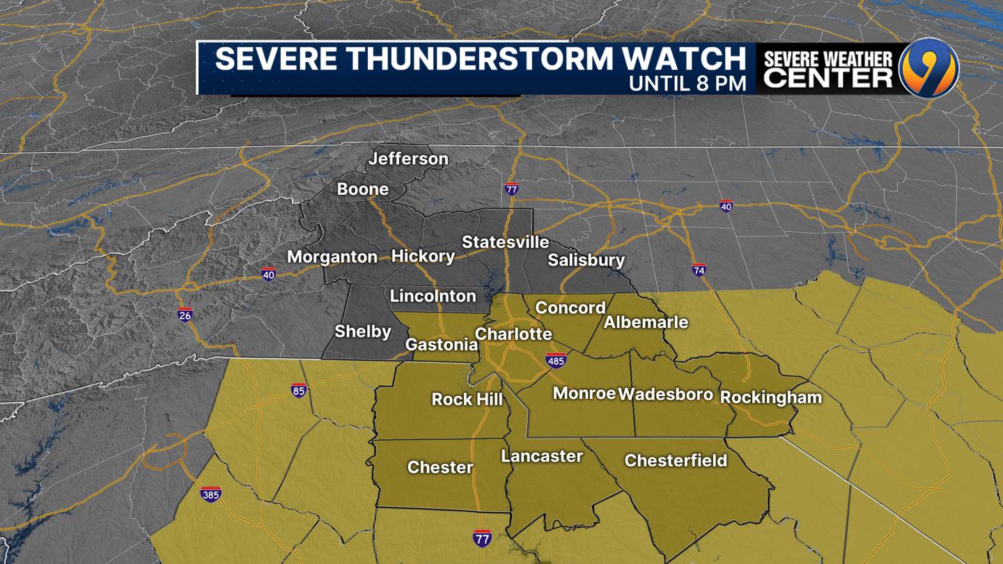 A severe thunderstorm watch was issued until 8 p.m., May 15