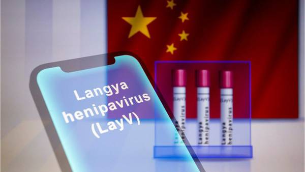 Langya virus: What you need to know