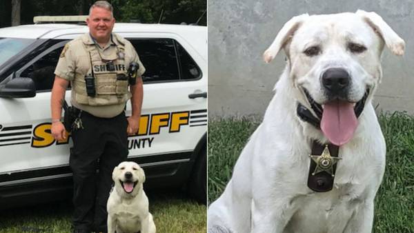 Union County Sheriff K-9 helps track down missing juvenile, deputies say