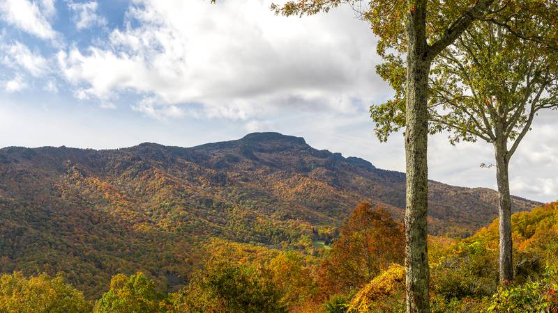 Oct. 15, 2022: Color cascades down the flanks of Grandfather Mountain, as illustrated in this view of the Grandfather profile. The famous profile can be spotted from NC 105 South while traveling from Boone toward Linville. This photo was taken from the town of Seven Devils.