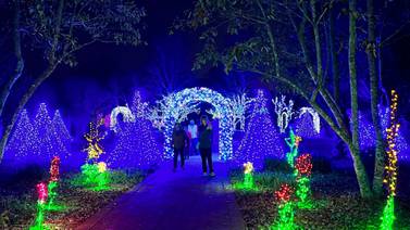 See how the Garden glows for the holidays