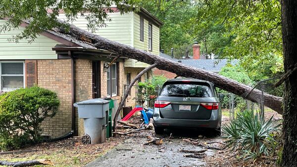 Split tree falls onto car, home while classes being taught in east Charlotte