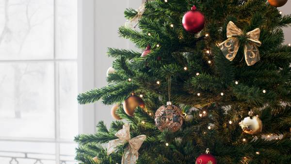 How to get rid of your Christmas tree in Charlotte, surrounding areas