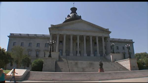 Charleston church shooting survivor calls on SC senators to pass hate crime bill