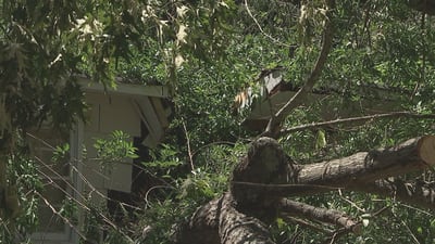 ‘I lost everything’: Fallen tree destroys Gastonia family’s home