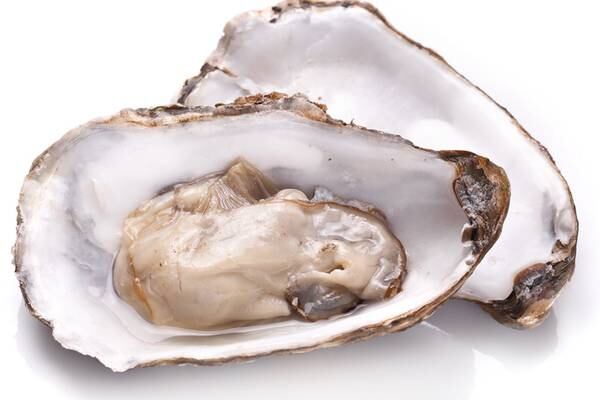 Recall alert: Oysters recalled over concerns of salmonella contamination