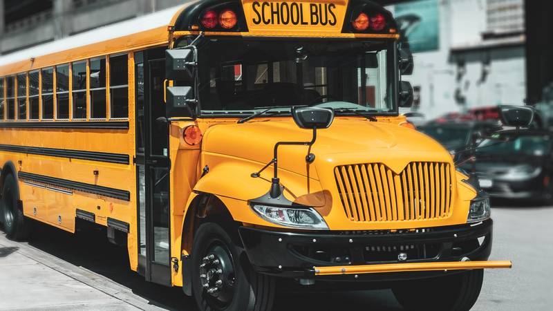 8-year-old girl struck, killed while getting on school bus in Georgia