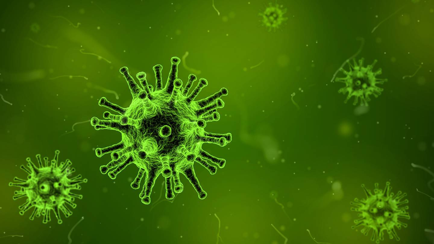 Más de doscientas personas enferman después de cenar en un restaurante de Raleigh, posible brote de norovirus – WSOC TV