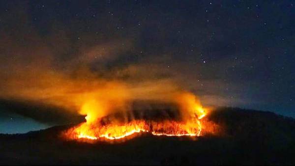Wildfire on Pogue Mountain in McDowell Co. fully contained; 436 acres of land burned