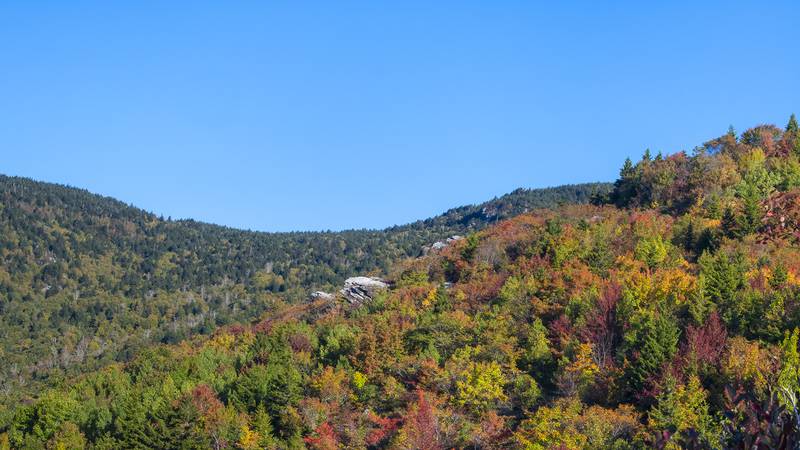 Oct. 5, 2022: Nice pockets of fall color are developing at the highest elevations (above 4,000 feet) in the NC High Country, as illustrated by this image from the Rough Ridge area. An extremely popular spot in fall for long-distance views, the trail to Rough Ridge is located at Milepost 302.8 along the Blue Ridge Parkway near Grandfather Mountain.