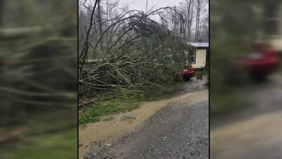 PHOTOS: 7-year-old's birthday party interrupted by tree that fell during severe storm in Caldwell County