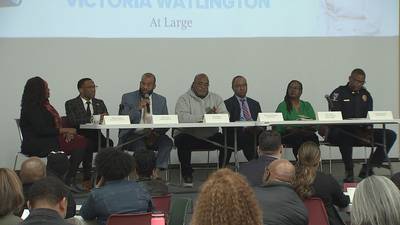 Anti-violence panel discusses possible solutions to teen violence, crime