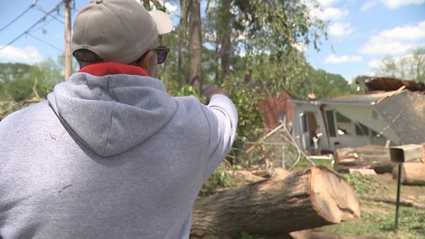Man escapes to safety after wind knocks tree down onto home