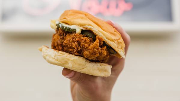 Charlotte fried chicken shop offering a year of free sandwiches to first guests