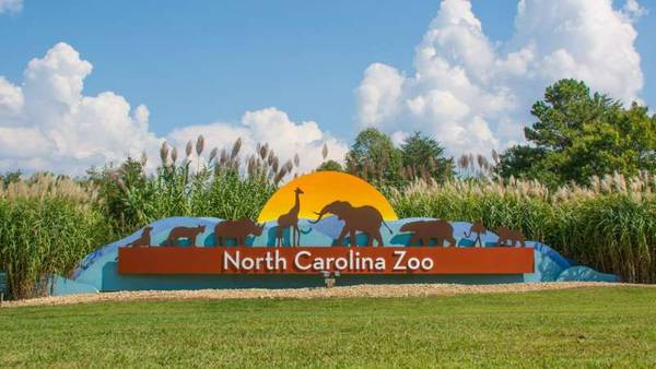 North Carolina Zoo closes aviary after report of avian flu