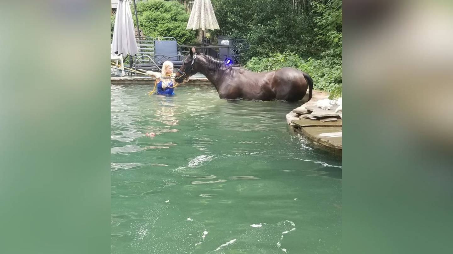 Crews respond to Union County home to rescue horse in pool