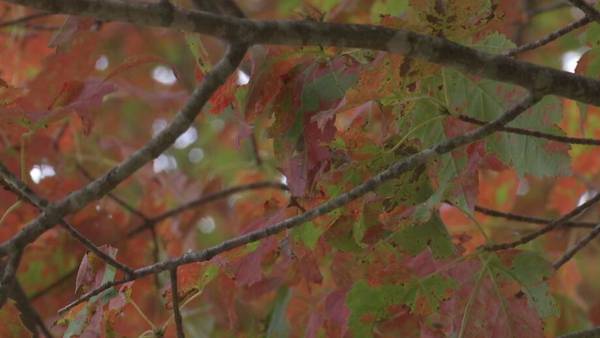 NC fall foliage: Expect it to be later, but just as vibrant in the mountains