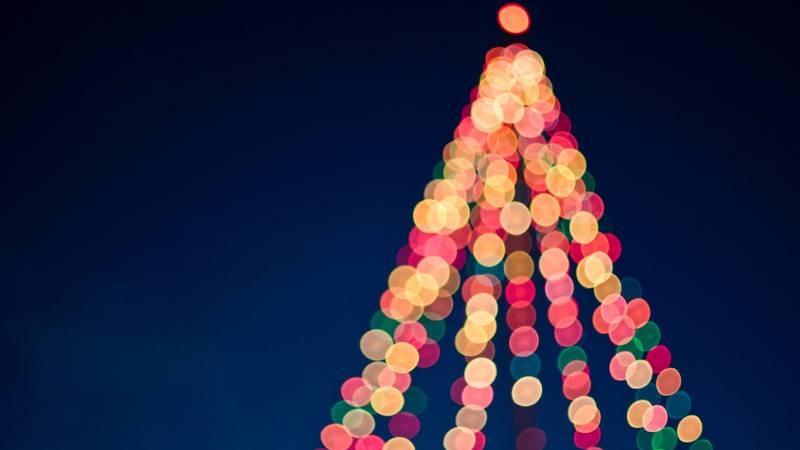 University City to host holiday festival, tree lighting