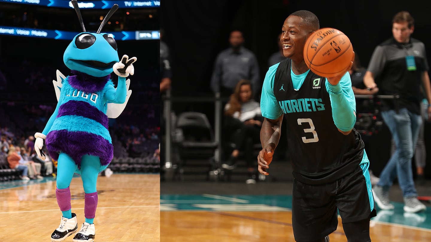 hornets purple and teal
