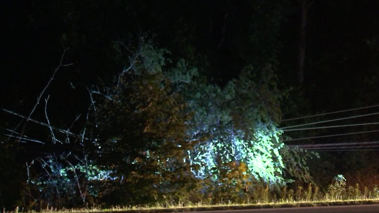 Massive Tree Falls On Power Lines Knocks Out Power To Hundreds In North Charlotte Wsoc Tv