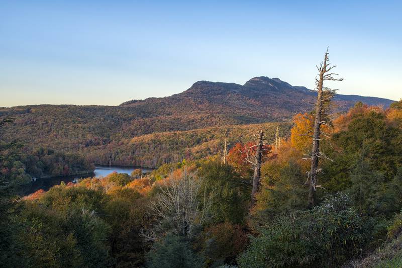 Grandfather Mountain spans the horizon with accompanying fall color, as seen from nearby Beacon Heights (milepost 305.2) on the Blue Ridge Parkway. Meanwhile, fall color works its way down Lost Cove Cliffs, as seen from the eponymous parkway overlook (milepost 310).