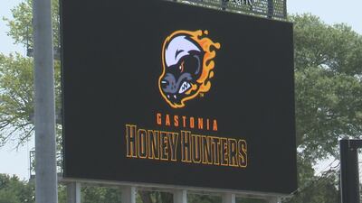 Gastonia Honey Hunters file for bankruptcy, stalling city’s plans for new team