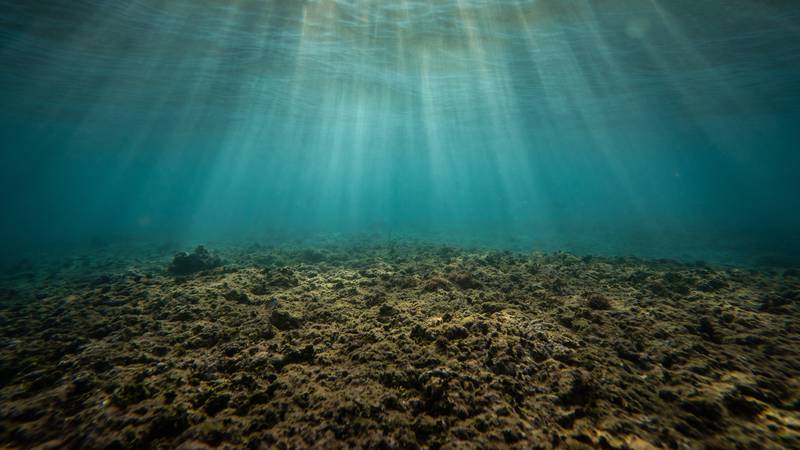 under water, lake