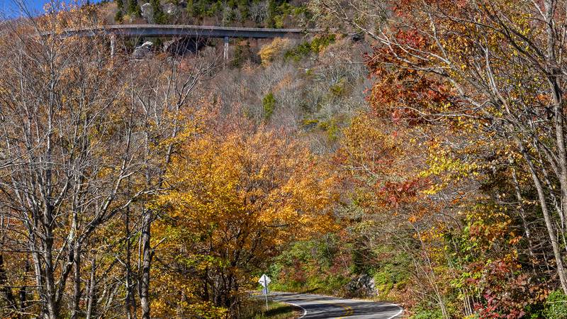 Oct. 22, 2022: Some fall color remains near the Linn Cove Viaduct on the Blue Ridge Parkway, as seen in this image taken from U.S. 221 below. Many leaves have fallen at higher elevations, but there are still nice pockets of autumn’s red, yellow and orange hues.