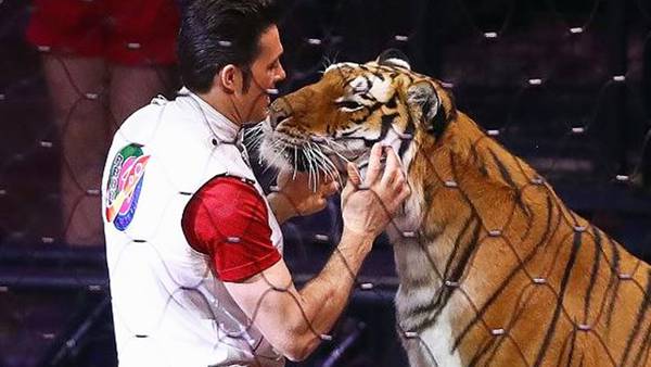 City of Charlotte bans exotic animals from being used in circuses