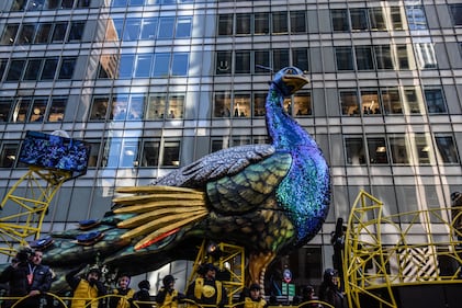 NEW YORK, NEW YORK - NOVEMBER 23: The Birds of a Feather Stream Together float participates in Macy's annual Thanksgiving Day Parade on November 23, 2023 in New York City. Thousands of people lined the streets to watch the 25 balloons and hundreds of performers march in this parade happening since 1924. (Photo by Stephanie Keith/Getty Images)