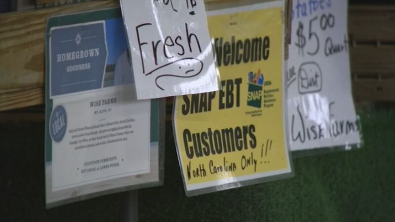 Judges order the Trump administration to use contingency funds for SNAP payments during the shutdown