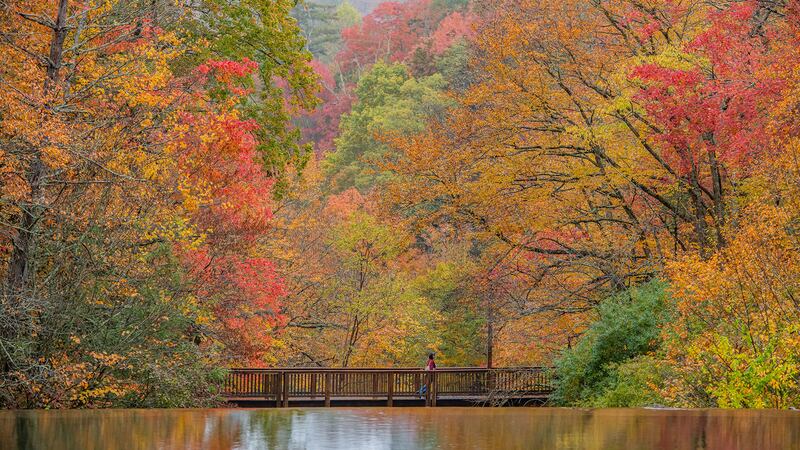 Oct. 20, 2023: Fall color beautifully fills this shot of the Historic Mill Pond in Banner Elk, showcasing a serene autumn setting. While today’s (Friday’s) forecast calls for occasional rain, the skies should clear for most of the weekend. The area’s foliage is exceptionally vibrant right now for those planning their leaf-looking trips.