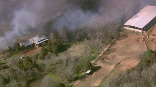 Horses run near fire