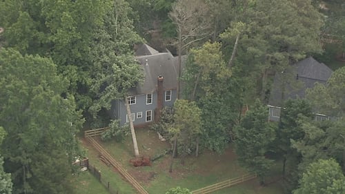 Tree on Schuppernong Court