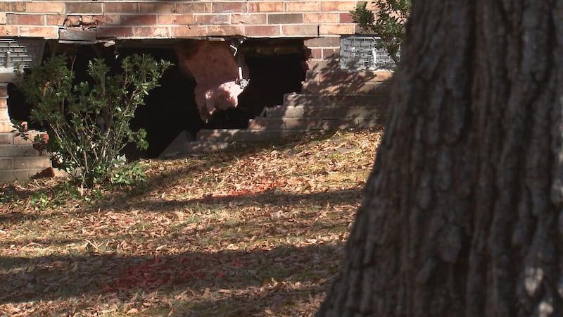 Friend disputes driver’s robbery claims in deadly Gastonia crash