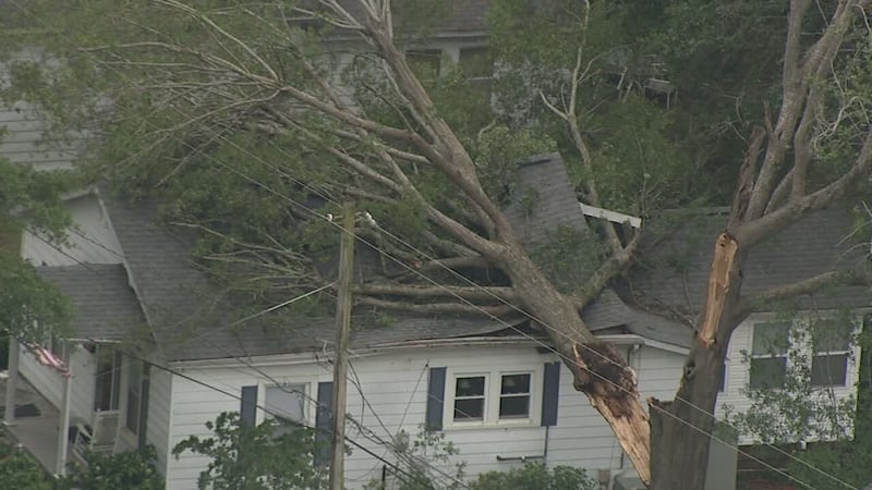 Tree on a house in Dallas