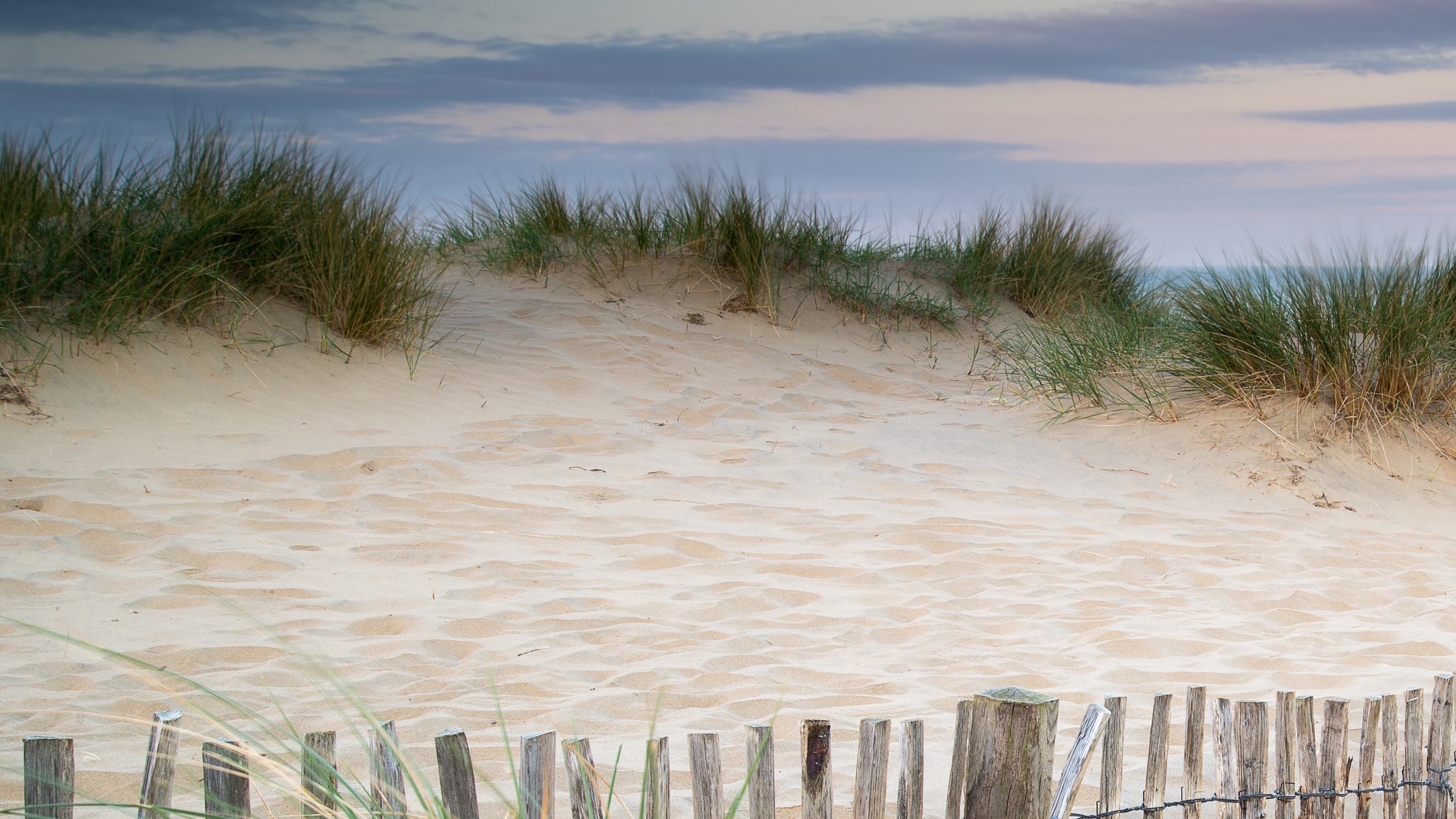 Panorama landscape of sand dunes system on beach at sunrise